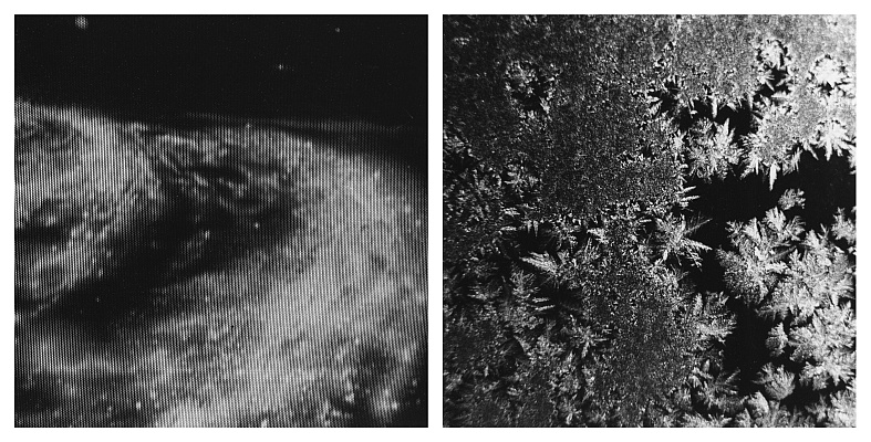 TV82-12 diptych