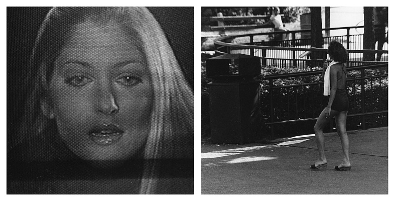 TV82-15 diptych