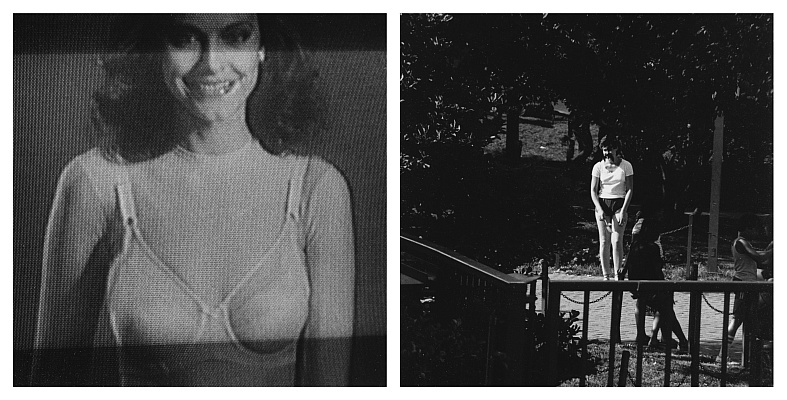 TV82-16 diptych