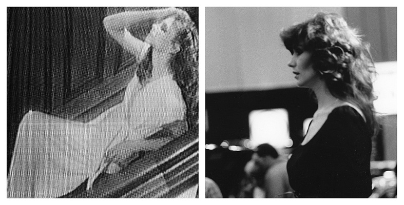 TV82-3 diptych