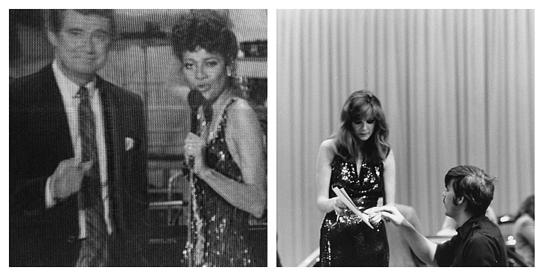 TV82-7 diptych